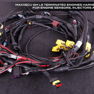 MaxxECU GM LS Terminated Harness w/ RACE ECU