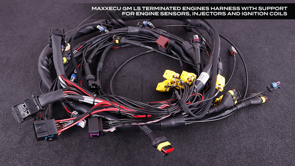 MaxxECU GM LS Terminated Harness w/ RACE ECU