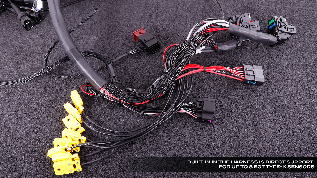 MaxxECU GM LS Terminated Harness w/ RACE ECU - Image 3
