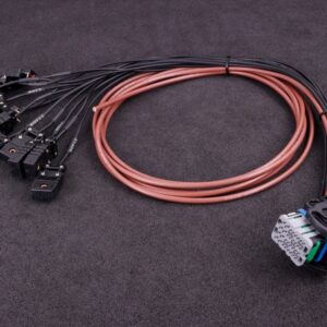 MaxxECU Pro flying lead harness 2
