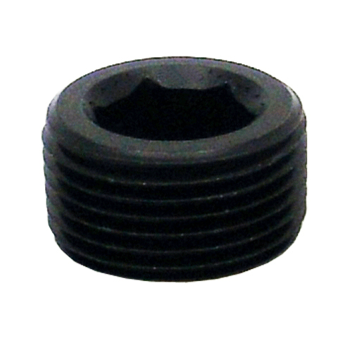 Allen Socket Pipe Thread Plugs - Image 4
