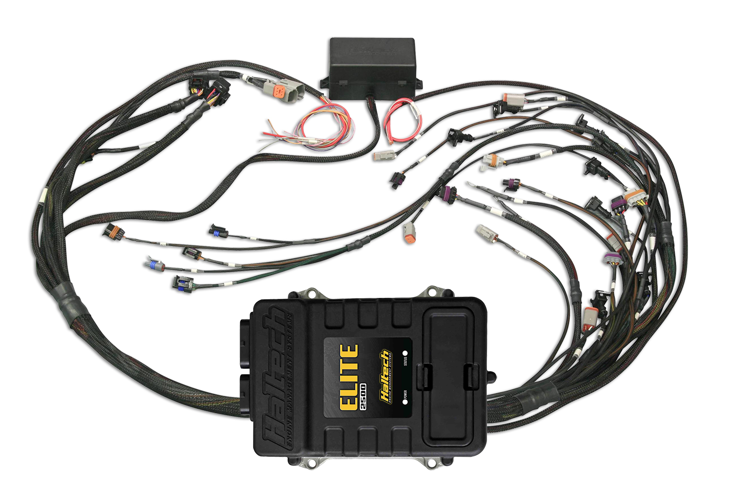 Elite 2500 GM GEN III LS1 non DBW Terminated Harness Kit EV1 - Image 2