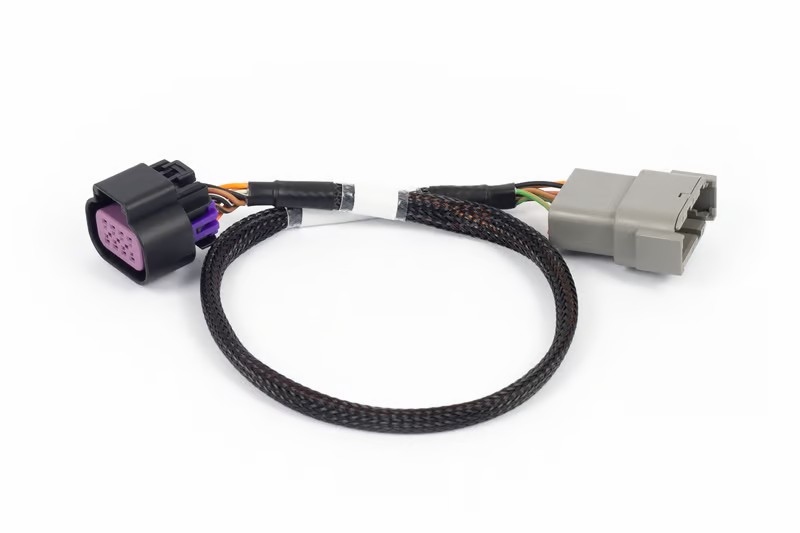 NEXUS Rebel LS DBW 8-Pin Sub-Harness